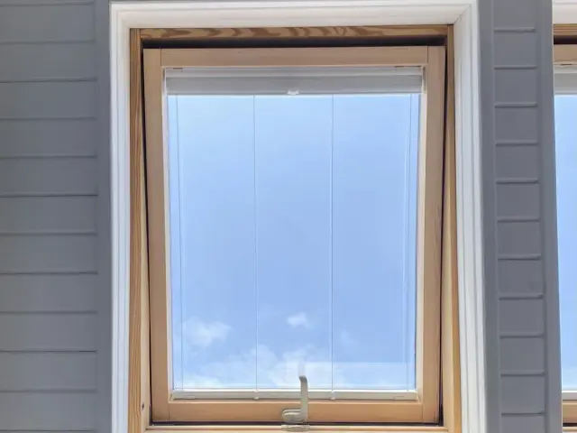 Insulating Glass Units (IGUs)